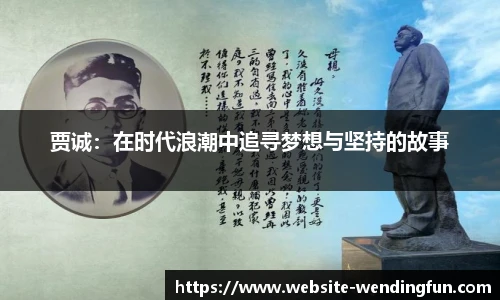 贾诚：在时代浪潮中追寻梦想与坚持的故事